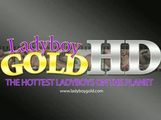 Ladyboy Army solo